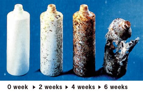 Sporamine: Un Matériau Biodégradable et Incite à la Réinvention de la Plastique !