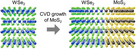  Wolframite Nanostructures: Unlocking the Potential for Next-Generation Optoelectronics and High-Performance Catalysts!